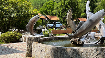 Тур в Дивное очарование Колхиды