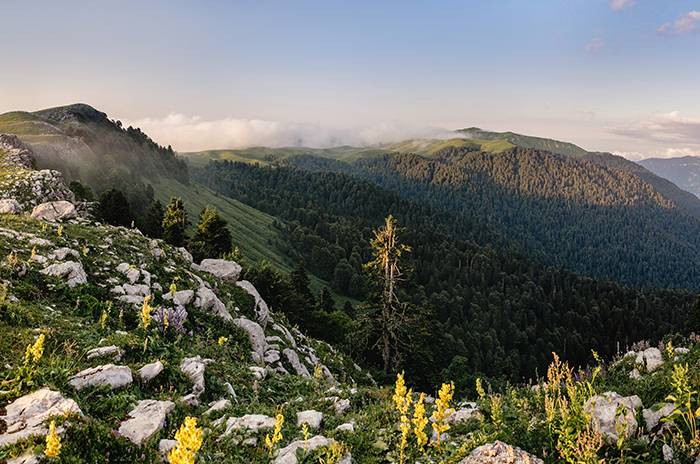  Альпийские луга Абхазии 
