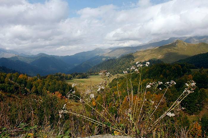  Рицинский парк осенью 