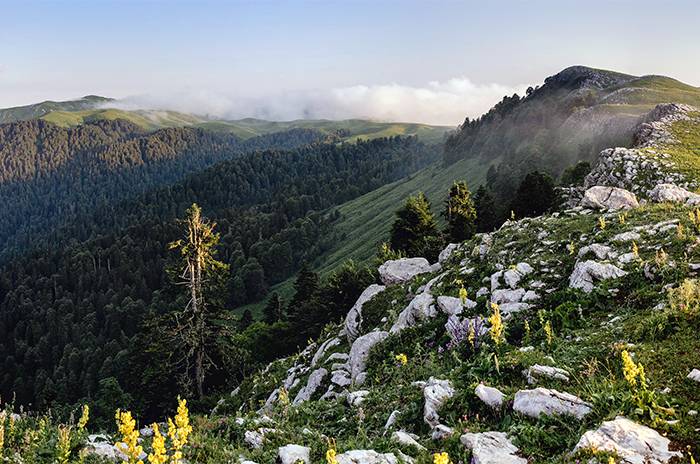  Альпийские луга 