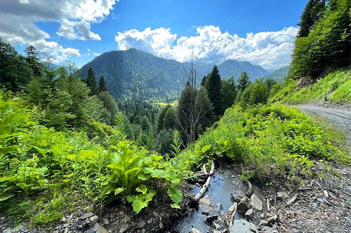  Панорама города Гагра 