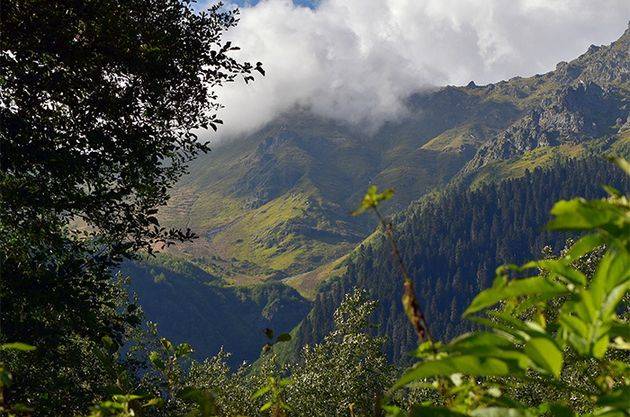  Отроги Южного Кавказа 